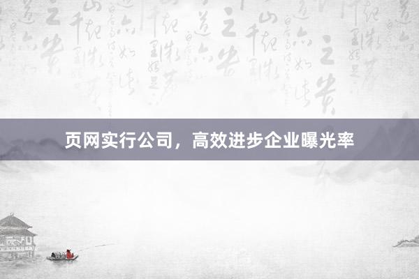 页网实行公司，高效进步企业曝光率