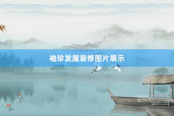 袖珍发屋装修图片展示
