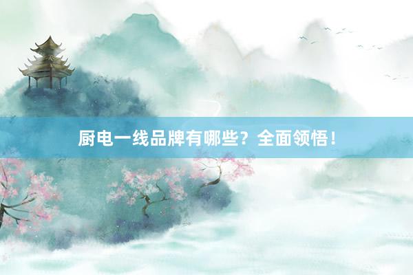 厨电一线品牌有哪些？全面领悟！