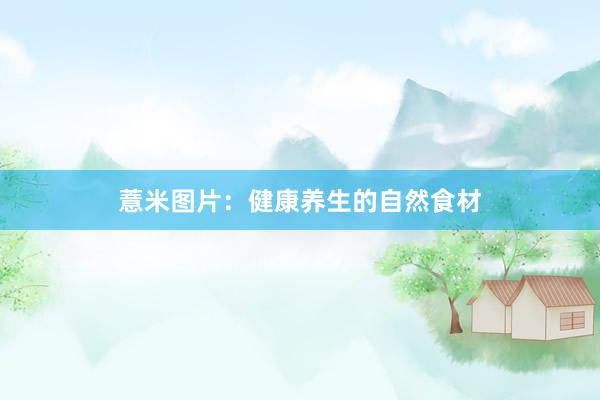 薏米图片：健康养生的自然食材